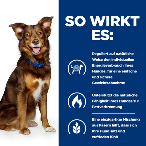 Hill’s Prescription Diet Metabolic Hund – Unterstützung beim Gewichtsmanagement so wirkt es