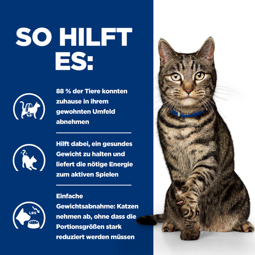 Hill's Prescription Diet Metabolic Katzenfutter so hilft es