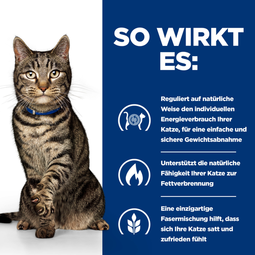 Hill's Prescription Diet Metabolic Katzenfutter so wirkt es