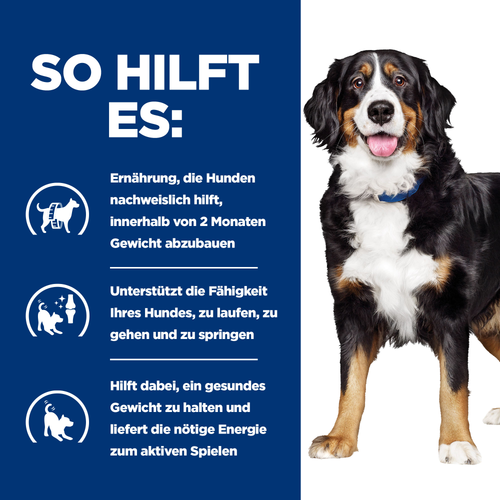 Hill's Prescription Diet Metabolic + Mobility Trockenfutter für Hunde so hilft es