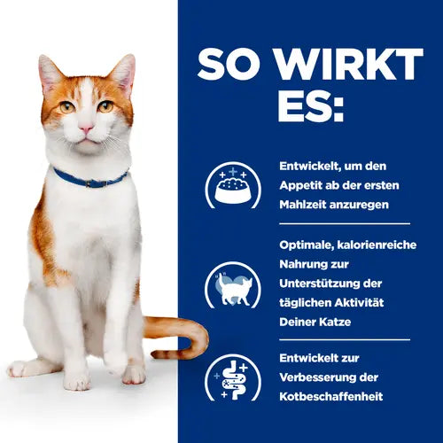 Hill's Prescription Diet ON-Care Ragout für Katzen so wirkt es