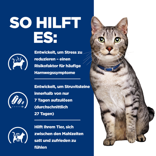 Hill's Prescription Diet c/d Multicare Stress + Metabolic Nassfutter für Katzen so hilft es