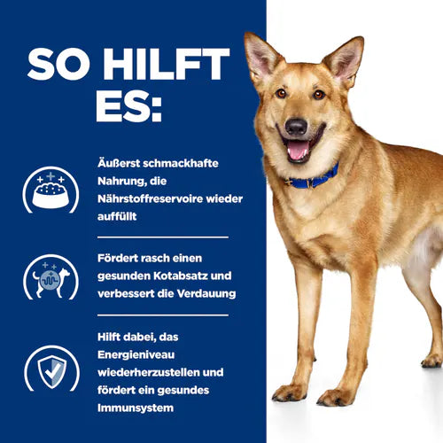 Hill’s Prescription Diet i/d Hund so hilft es