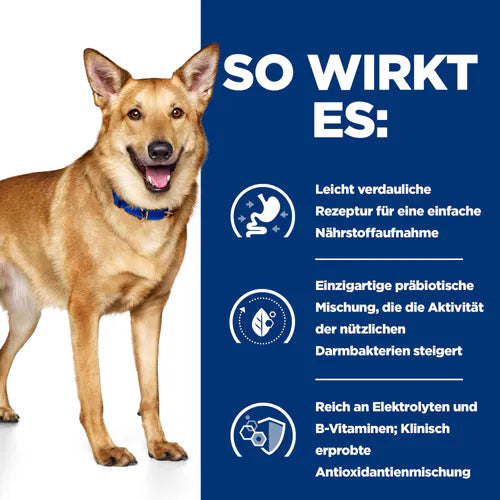 Hill’s Prescription Diet i/d Hund so wirkt es