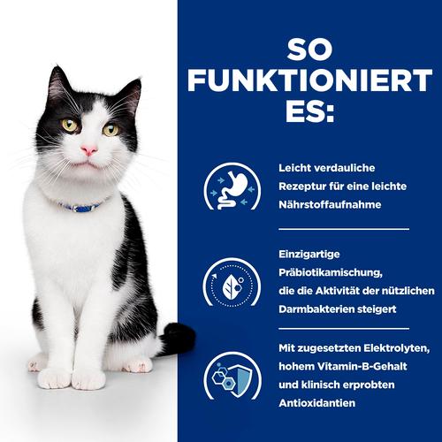 Hill's Prescription Diet i/d Katzenfutter Mousse so funktioniert es