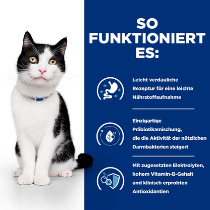 Hill's Prescription Diet i/d Katzenfutter Mousse so funktioniert es
