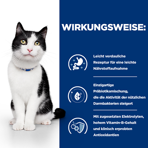 Hill's Prescription Diet i/d Katzenfutter Wirkungsweise