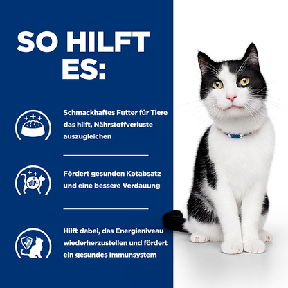 Hill's Prescription Diet i/d Katzenfutter so hilft es
