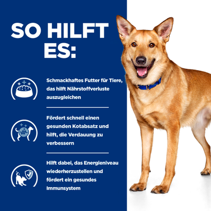 Hill’s Prescription Diet i/d Ragout Hund mit Huhn und Gemüse so hilft es