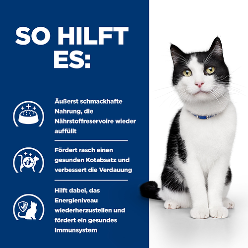Hill's Prescription Diet i/d Ragout für Katzen mit Huhn und Gemüsezusatz so hilft es