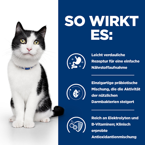 Hill's Prescription Diet i/d Ragout für Katzen mit Huhn und Gemüsezusatz so wirkt es