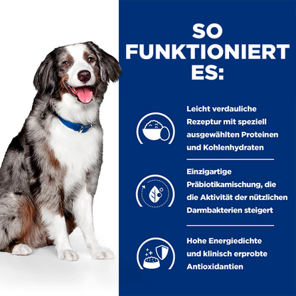 Hill's Prescription Diet i/d Sensitive Trockenfutter für Hunde so funktioniert es