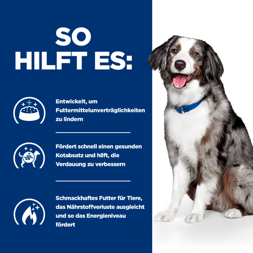 Hill's Prescription Diet i/d Sensitive Trockenfutter für Hunde so hilft es
