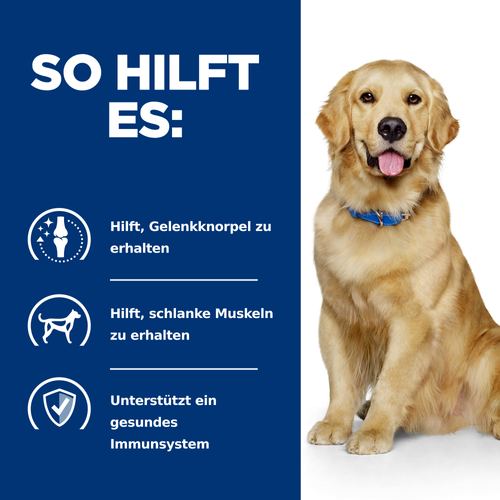 Hill's Prescription Diet j/d Reduced Calorie Trockenfutter für Hunde so hilft es