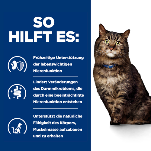 Hill's Prescription Diet k/d Early Stage Katzen Nassfutter so hilft es