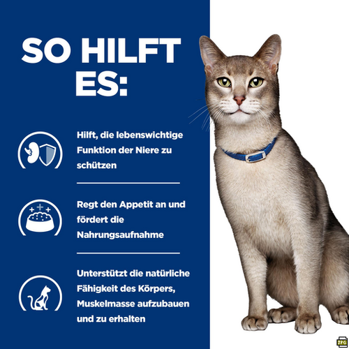 Hill's Prescription Diet k/d Katzen so hilft es