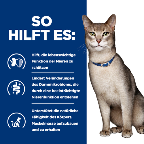 Hill's Prescription Diet k/d Katzenfutter Mousse so hilft es
