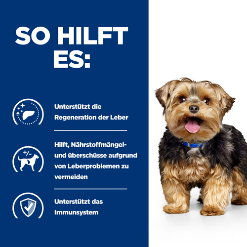 Hill's Prescription Diet l/d Trockenfutter für Hunde so hilft es