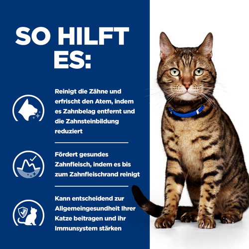 Hill's Prescription Diet t/d Katzenfutter so hilft es