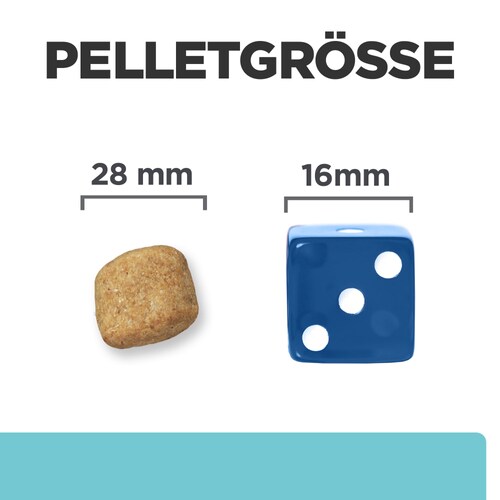 Hill's Prescription Diet t/d Trockenfutter für Hunde Pelletgrösse