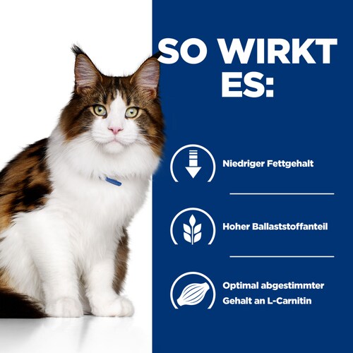 Hill's Prescription Diet w/d Multi-Benefit Nassfutter für Katzen so wirkt es