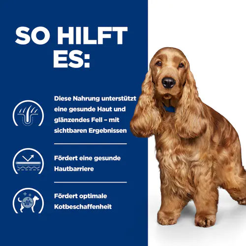 Hill’s Prescription Diet z/d Hund so hilft es