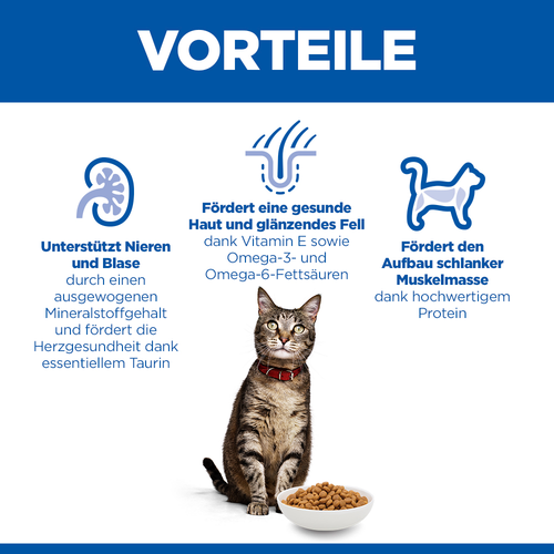 Hill's Science Plan Adult 1-6 Katzenfutter Vorteile