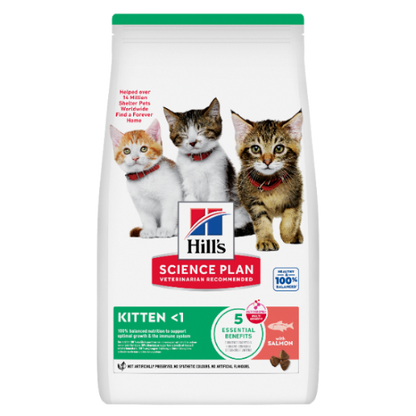 Hill's Science Plan Kitten Kätzchenfutter Lachs