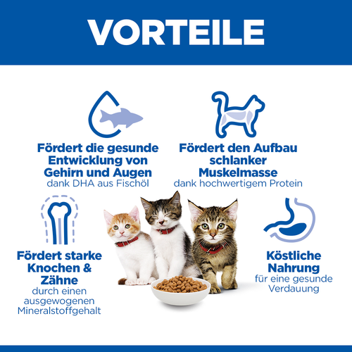 Hill's Science Plan Kitten Kätzchenfutter Vorteile