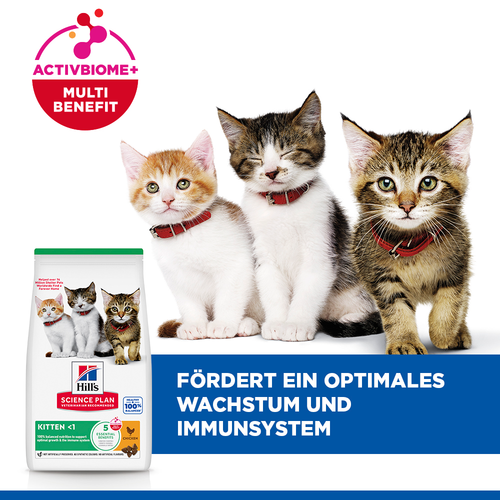 Hill's Science Plan Kitten Kätzchenfutter fördert Wachstum und Immunsystem