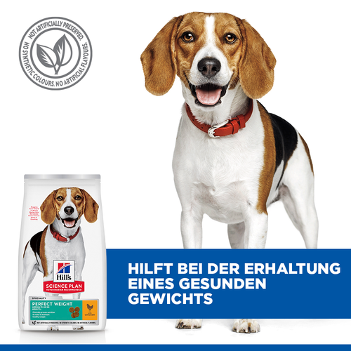 Hill's Science Plan Perfect Weight Medium Adult Hundefutter Vorteile Erhaltung Gewicht
