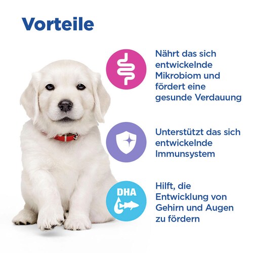 Hill's Vet Essentials MULTI-BENEFIT Large Breed Puppy Welpenfutter Vorteile