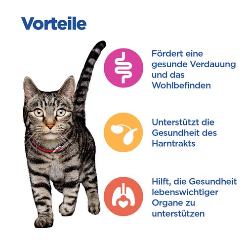 Hill's Vet Essentials MULTI-BENEFIT Mature Adult Katzenfutter Vorteile