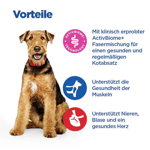 Hill's Vet Essentials Multi-Benefit + Digestion Adult 1+ Medium Hund Vorteile