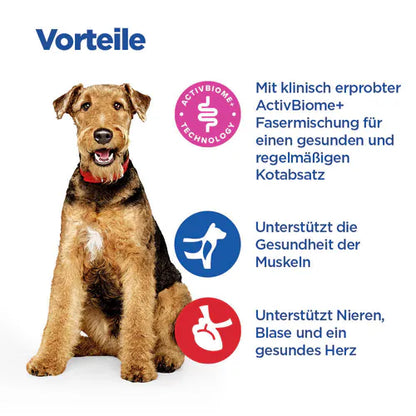 Hill's Vet Essentials Multi-Benefit + Digestion Adult 1+ Medium Hund Vorteile