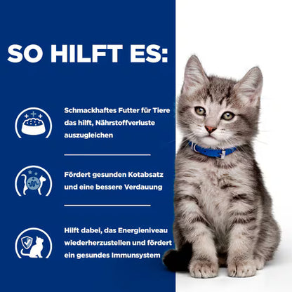 Hill's Prescription Diet i/d Kätzchenfutter Trockenfutter - So hilft es