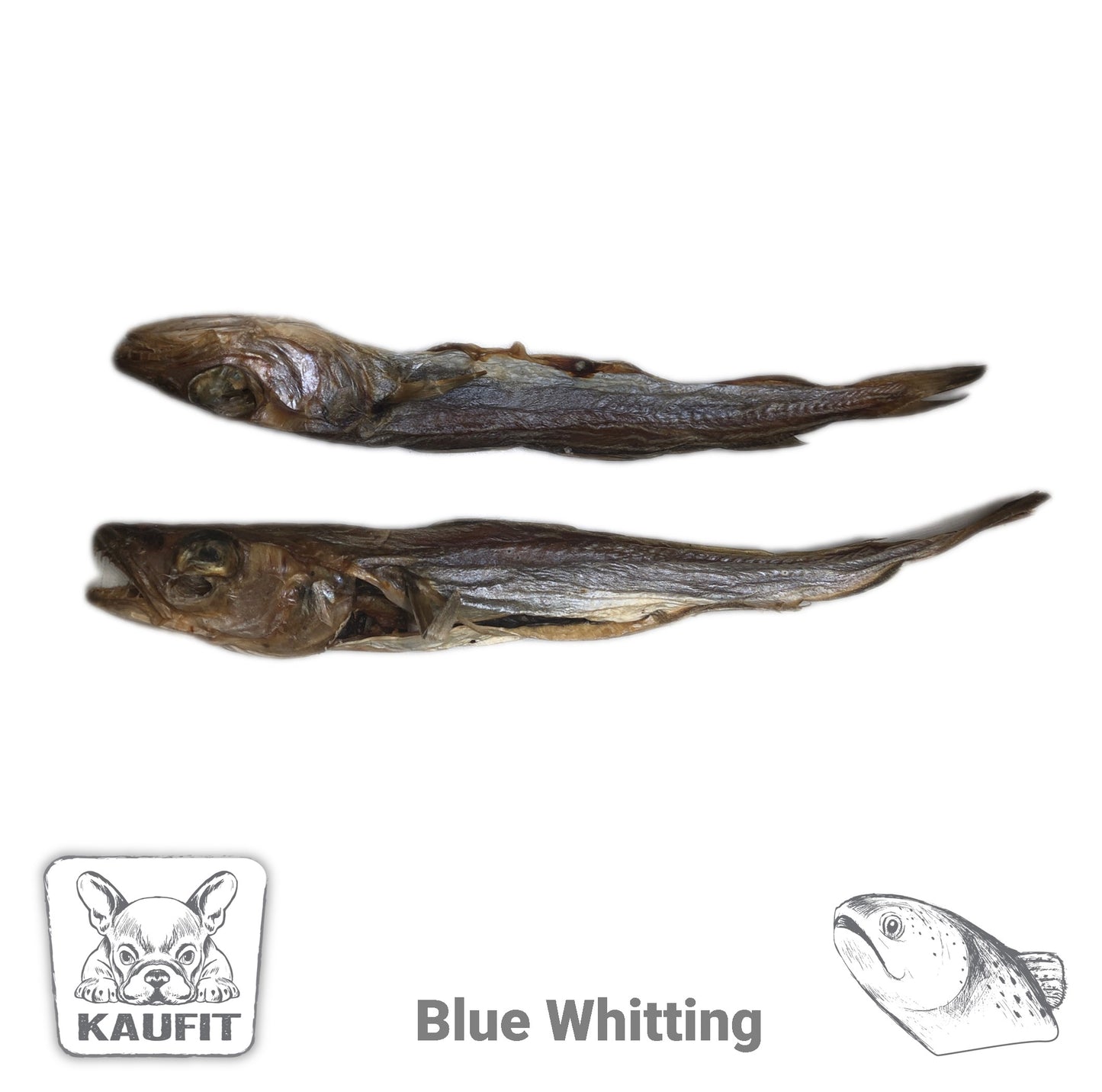 Blue Whitting