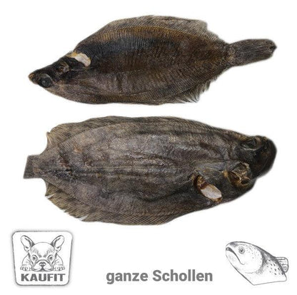 Kaufit - 100g - Ganze Schollen - Marigin AG Onlineshop für Tierbedarf