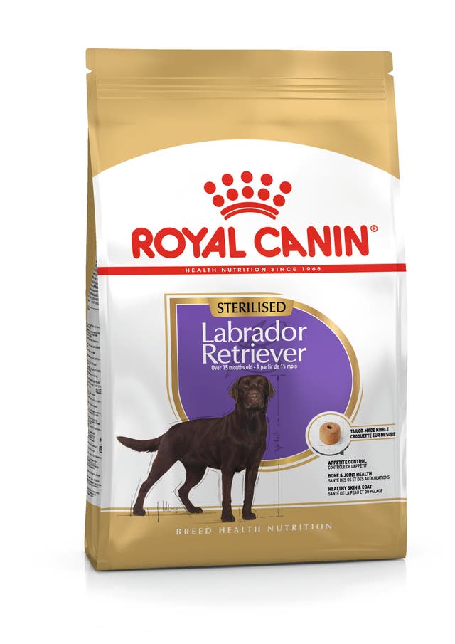 Royal Canin Labrador Retriever Adult Sterilised Trockenfutter für kastrierte Hunde