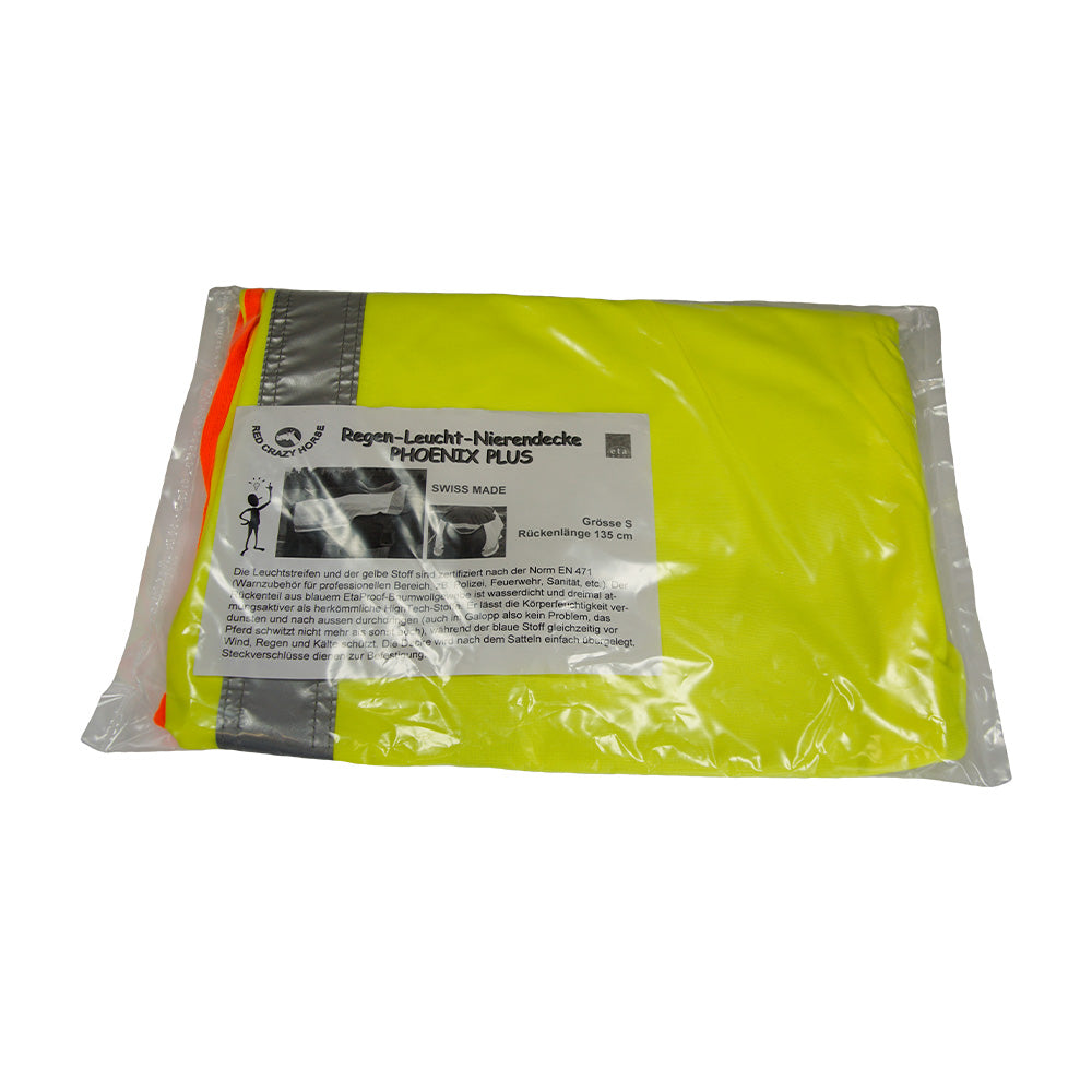 Grossenbacher Leuchtdecke Phoenix Plus
