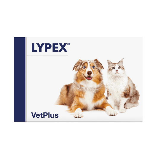 VetPlus Lypex Hund - Katze - Kapseln - - 60 Kapseln Ergänzungsfuttermittel
