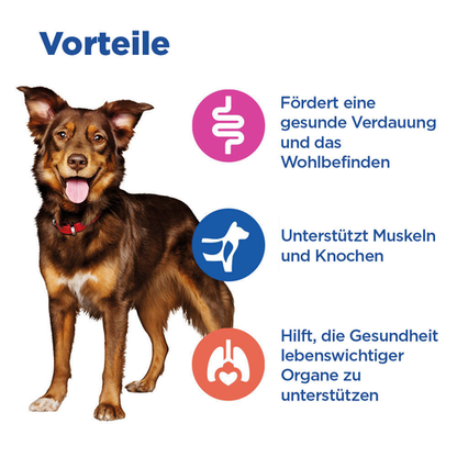 Hill's Vet Essentials Multi-Benefit Adult Medium Vorteile