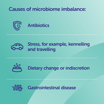 Proxetin Veterinary Synbiotic D-C Ursachen