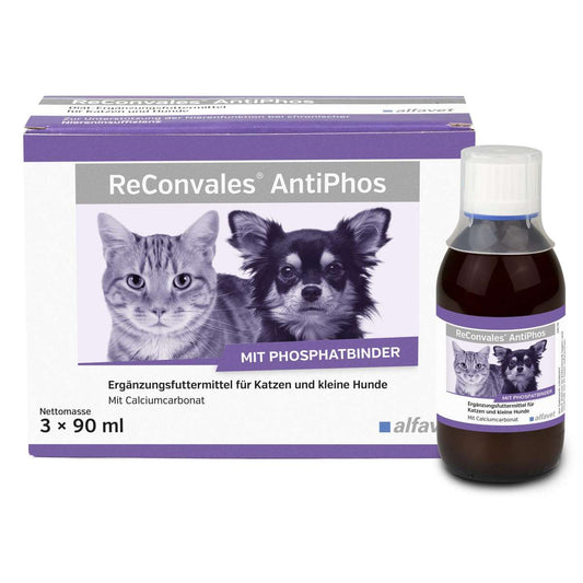 Alfavet ReConvales AntiPhos - Hund/Katze