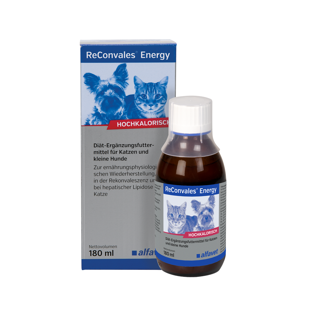 ReConvales Energy 180 ml für Hunde und Katzen