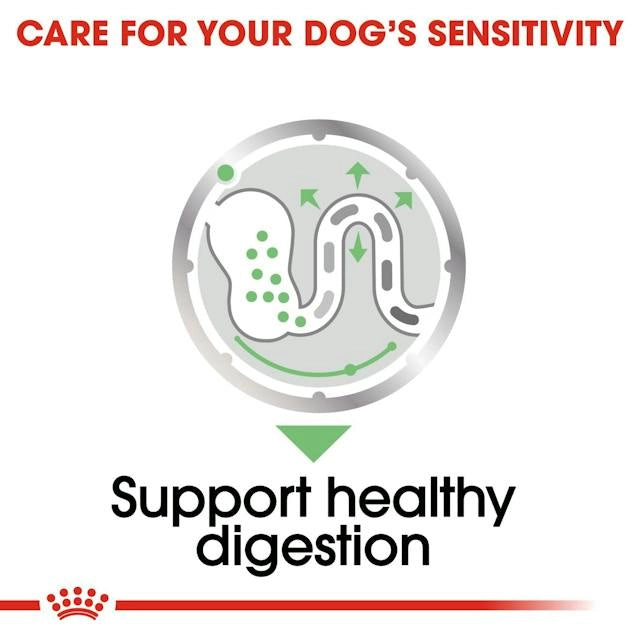 Royal Canin Digestive Care Mousse Healthy Digestion
