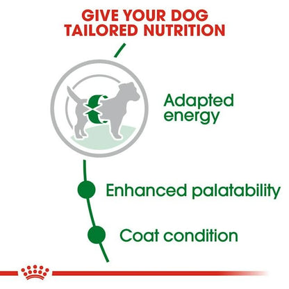 Royal Canin Mini Adult adapted energy