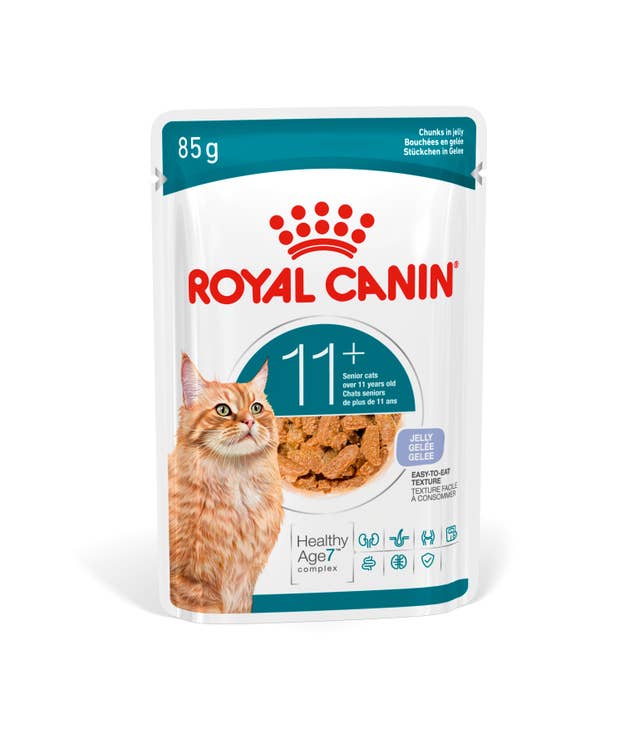 Royal Canin Ageing 11+ Gel für Katzen