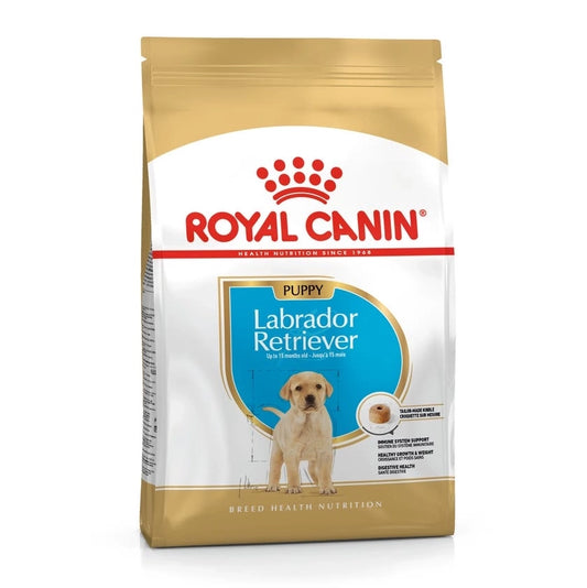 Royal Canin Labrador Retriever Puppy