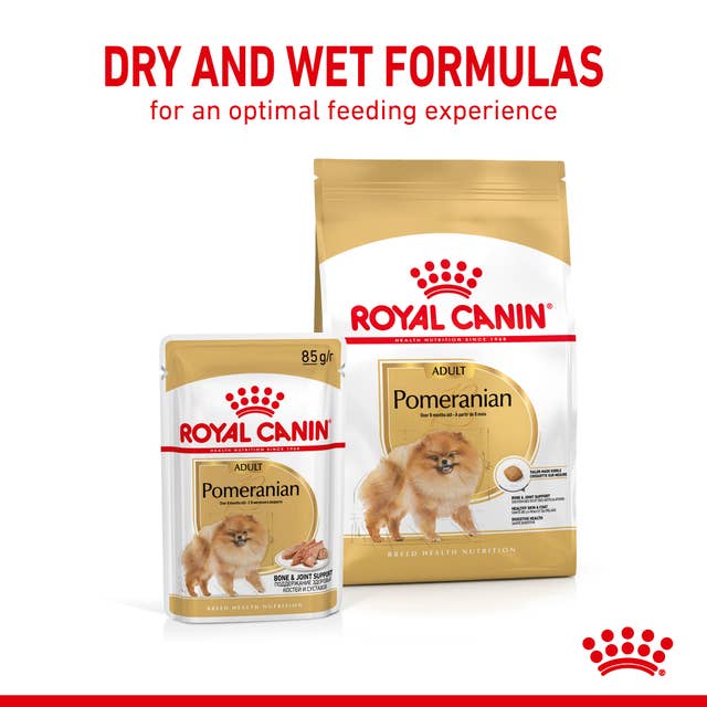 Royal Canin Pomeranian Adult Trocken und Nass